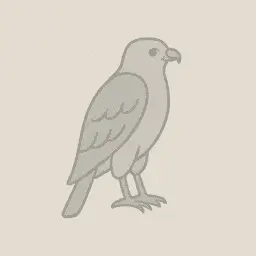 Gray hawk