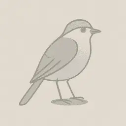 Canada jay