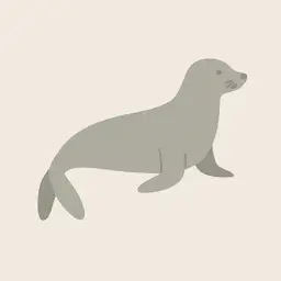 Grey seal