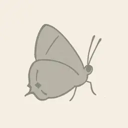 Gray hairstreak