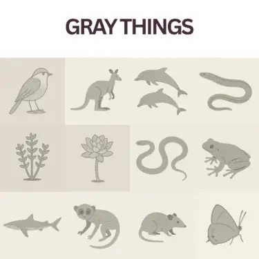 gray things