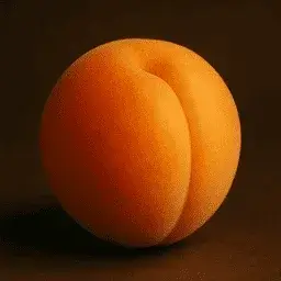 Apricot