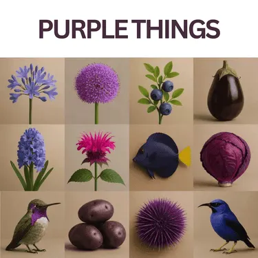 purple things