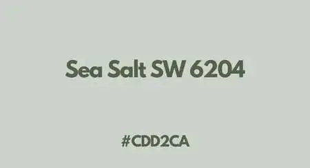 Sea Salt SW 6204