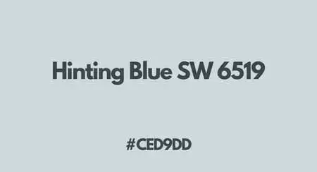 Hinting Blue SW 6519 (#CED9DD)
