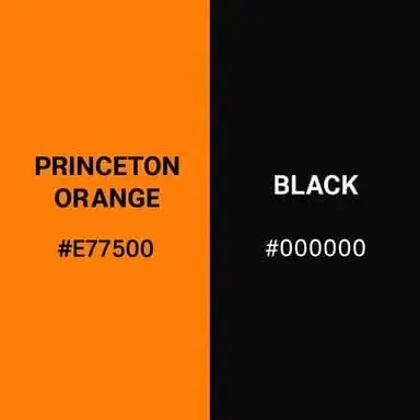 Princeton University