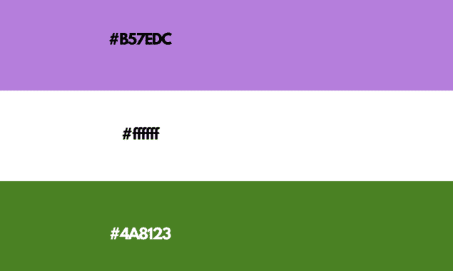 Genderqueer Flag colors