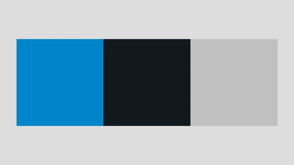 caroline panthers colors