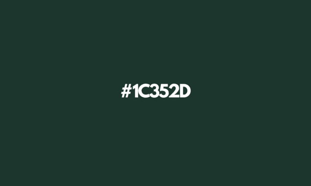 Dark Jungle Green