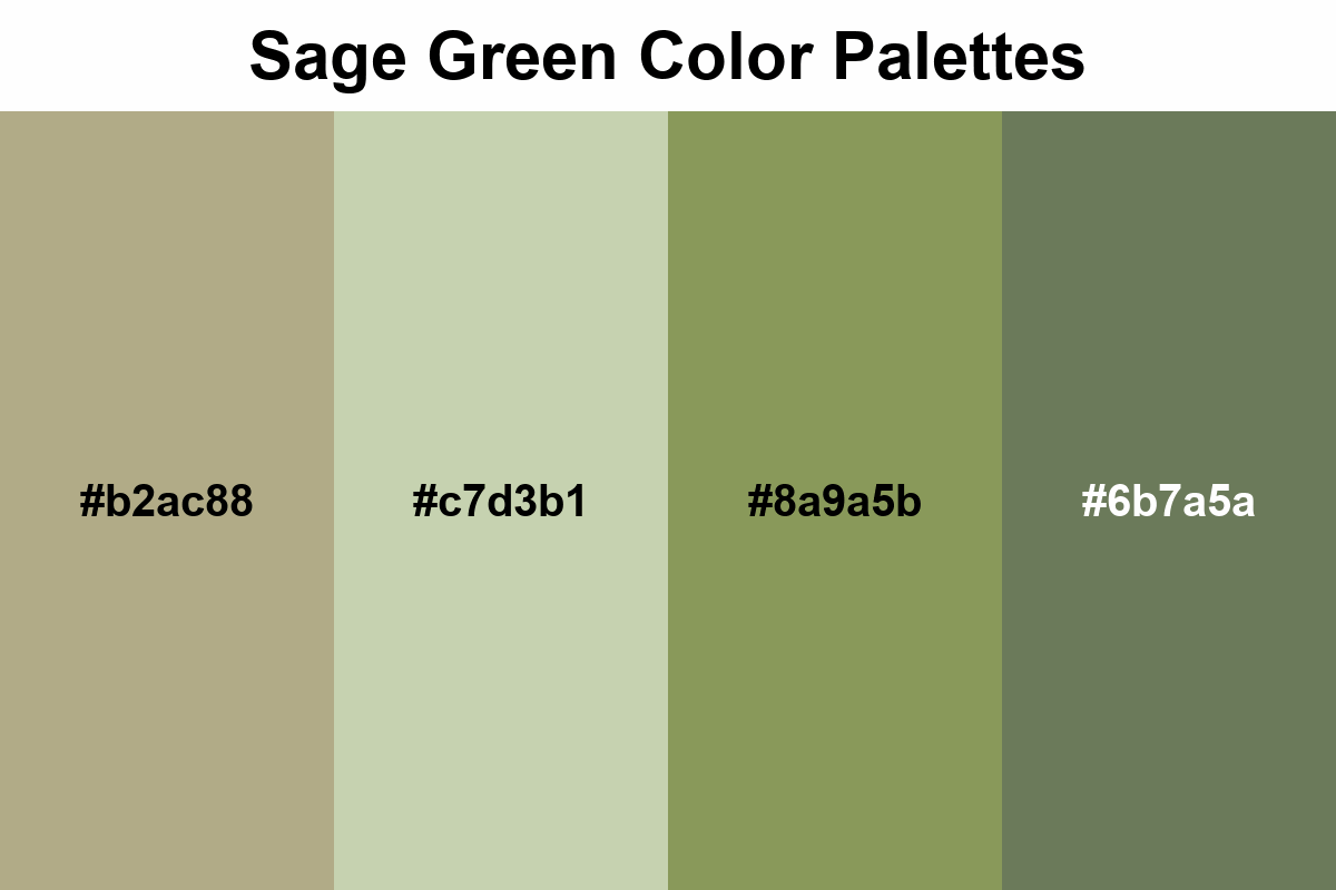 sage green color palettes