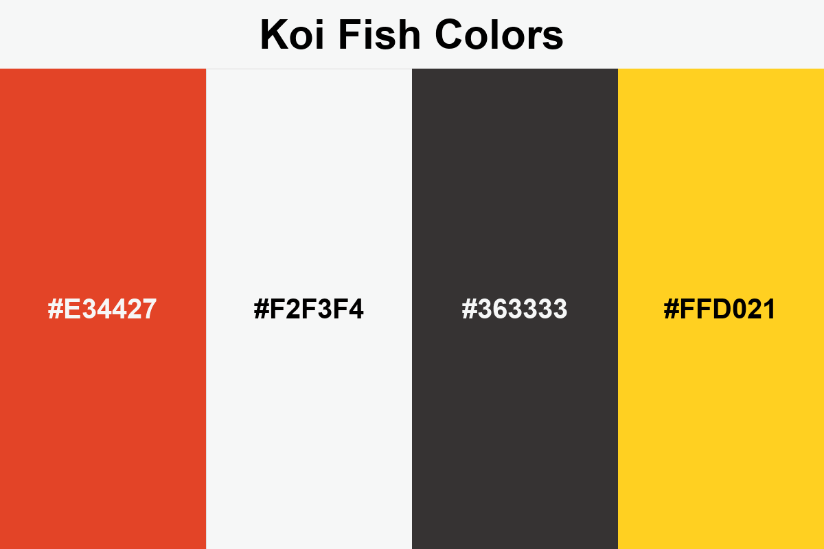 Koi Fish Colors