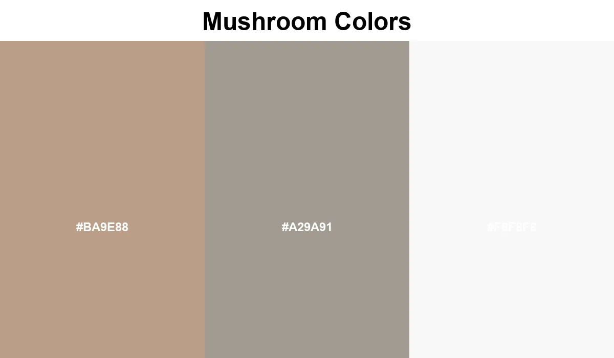 Mushroom Colors