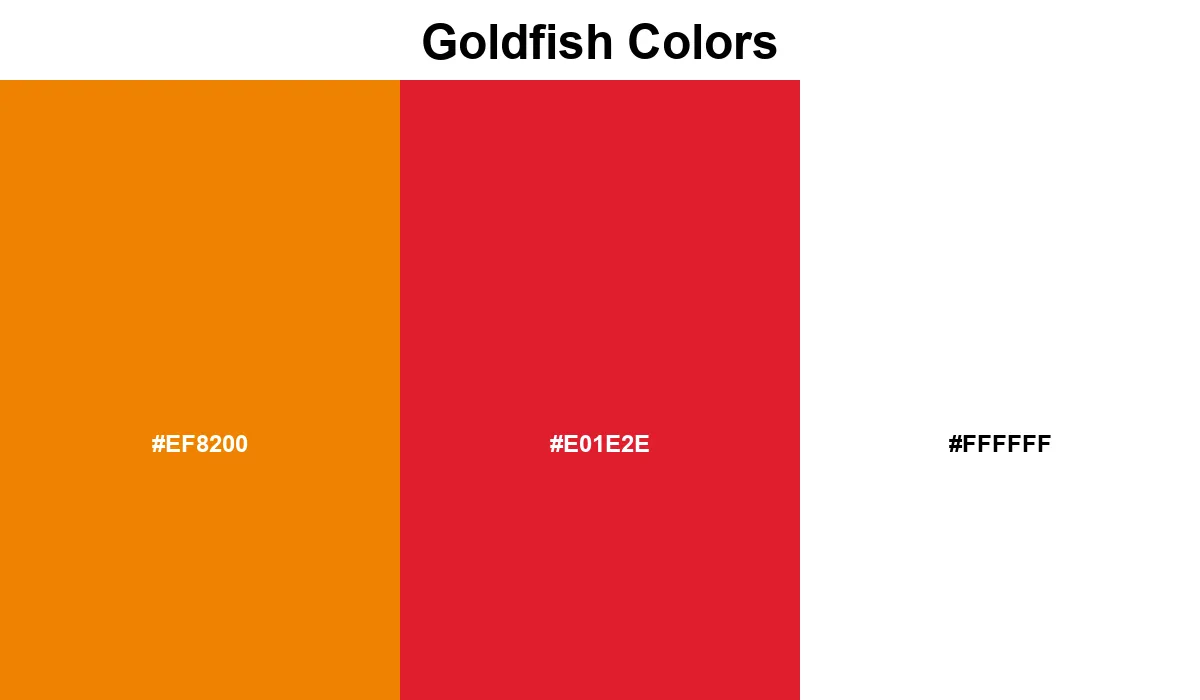 Goldfish Colors
