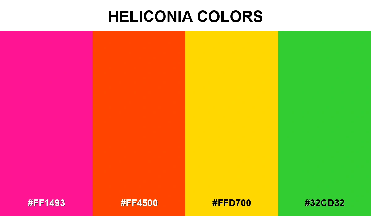 Heliconia Colors