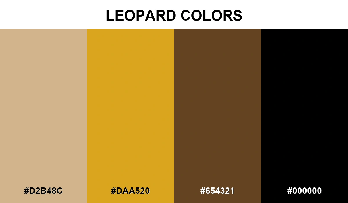 Leopard Colors