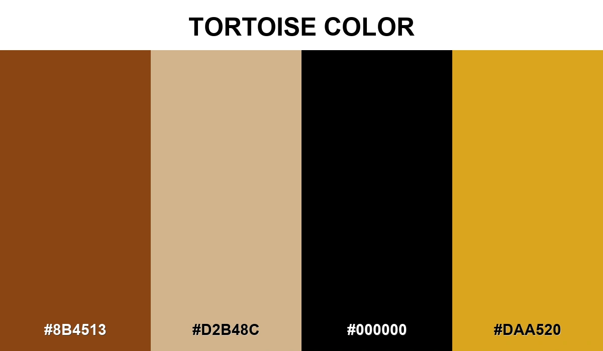 Tortoise Color