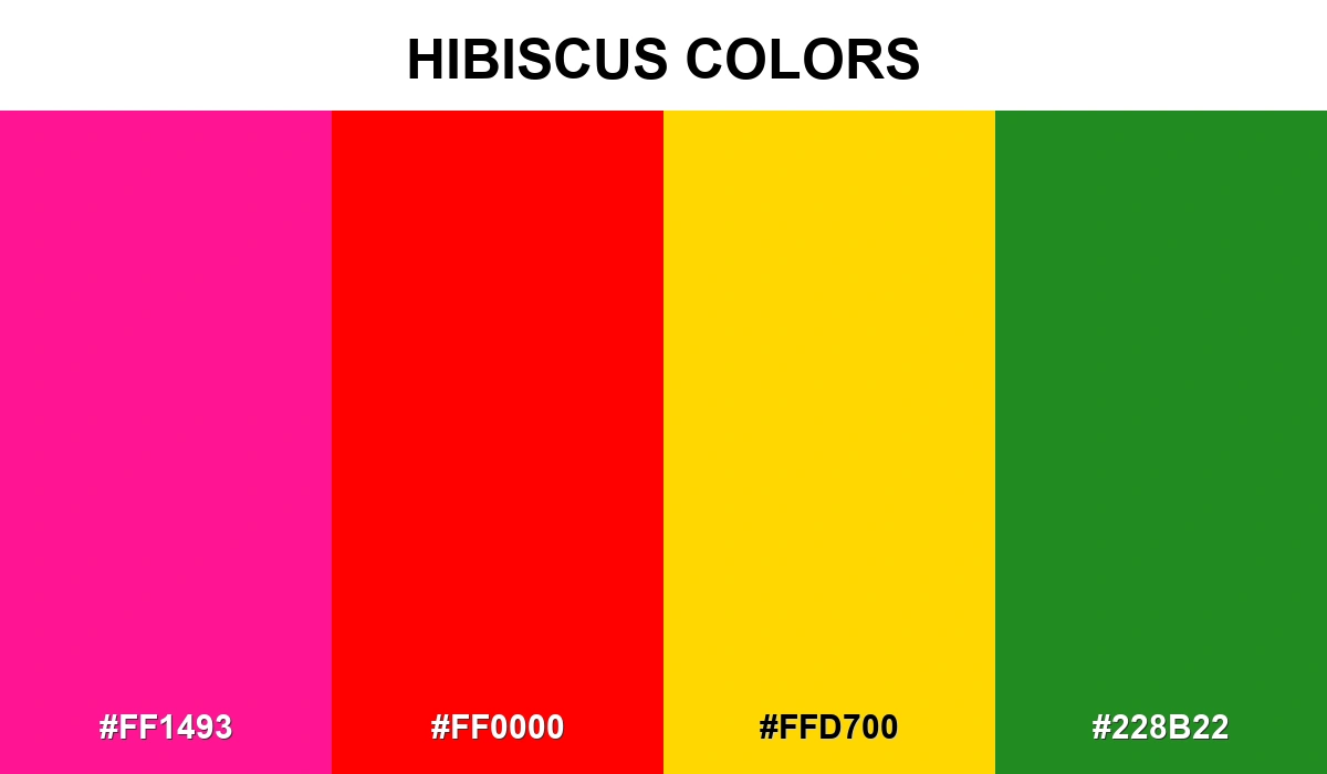 Hibiscus Colors