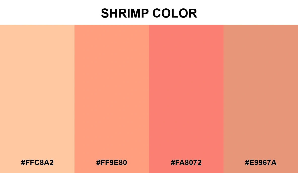 Shrimp Color
