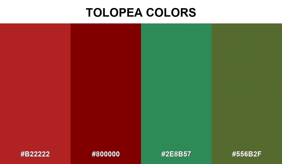 Tolopea Colors