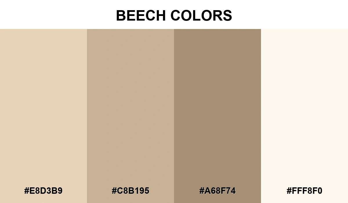 Beech Colors