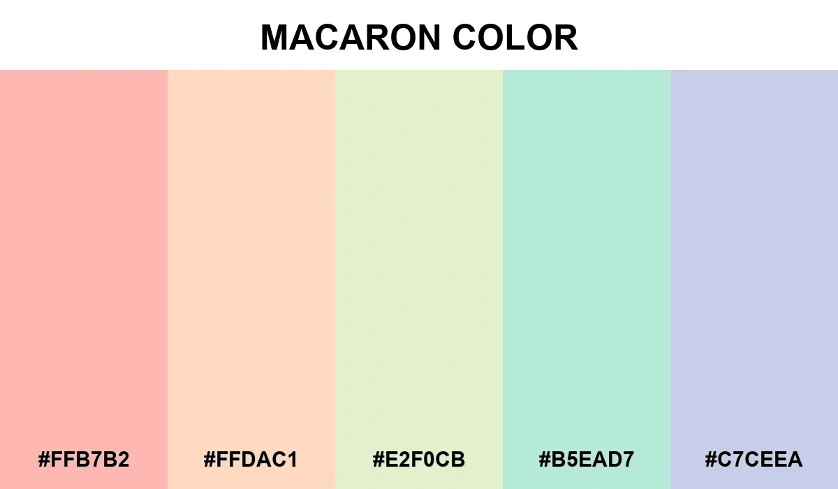 Macaron Color