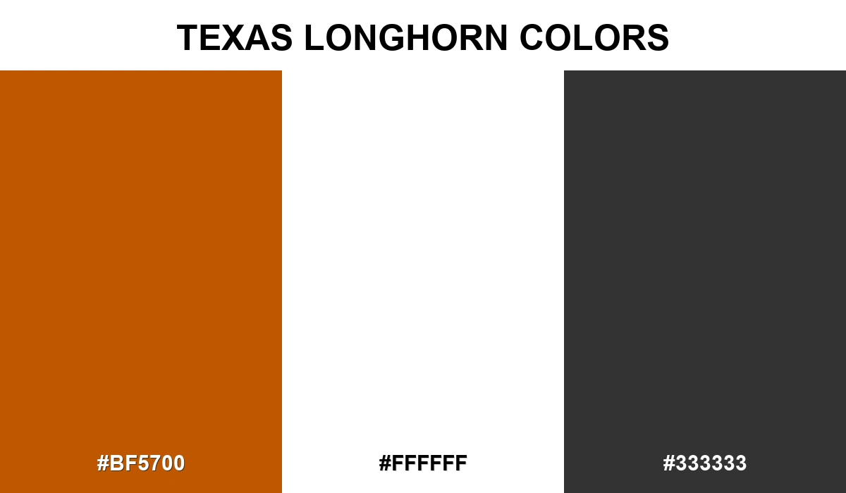 Texas Longhorn Colors