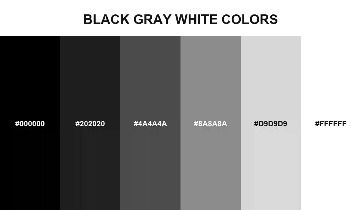 Black gray white colors moving from absolute black through graphite and mid gray to paper gray and white HEX values