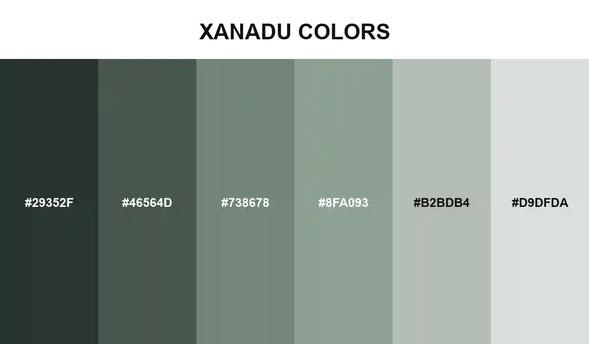 Xanadu colors moving from deep gray-green canopy through Xanadu #738678 to mist and glasshouse light HEX values