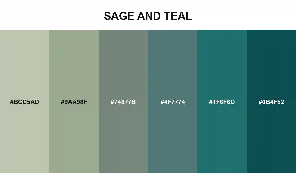 Sage and teal palette moving from soft gray-green sage through tidal green to deep wet teal HEX values