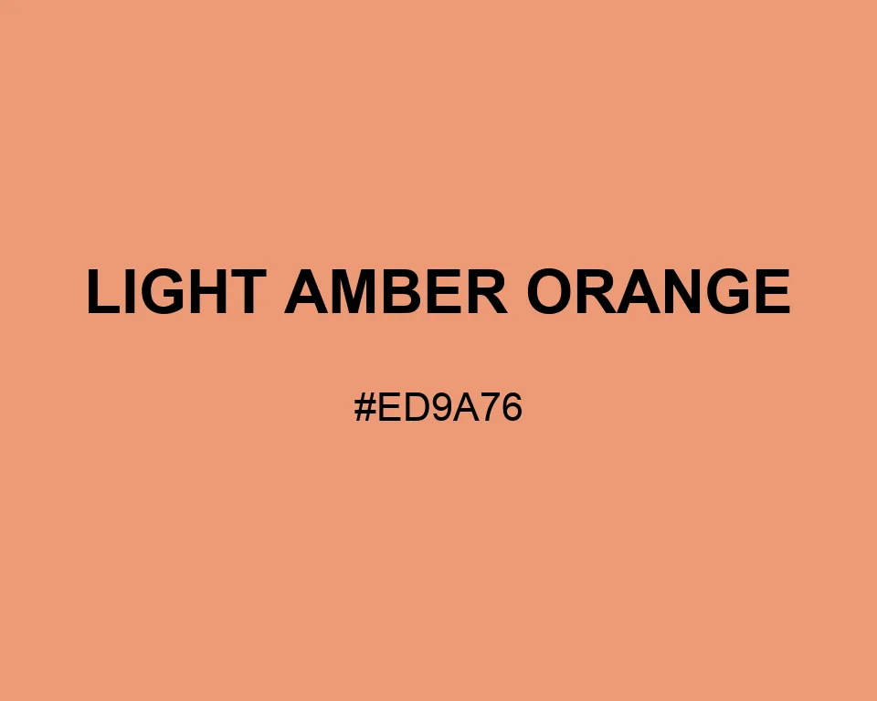 Light Amber Orange color #ED9A76