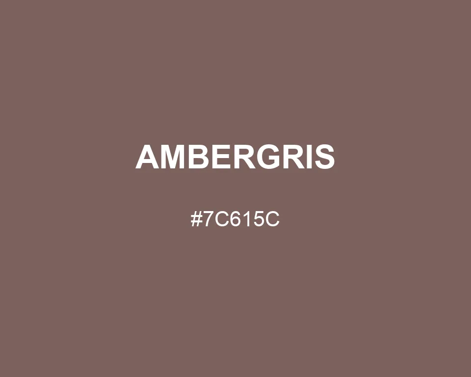 Ambergris color #7C615C