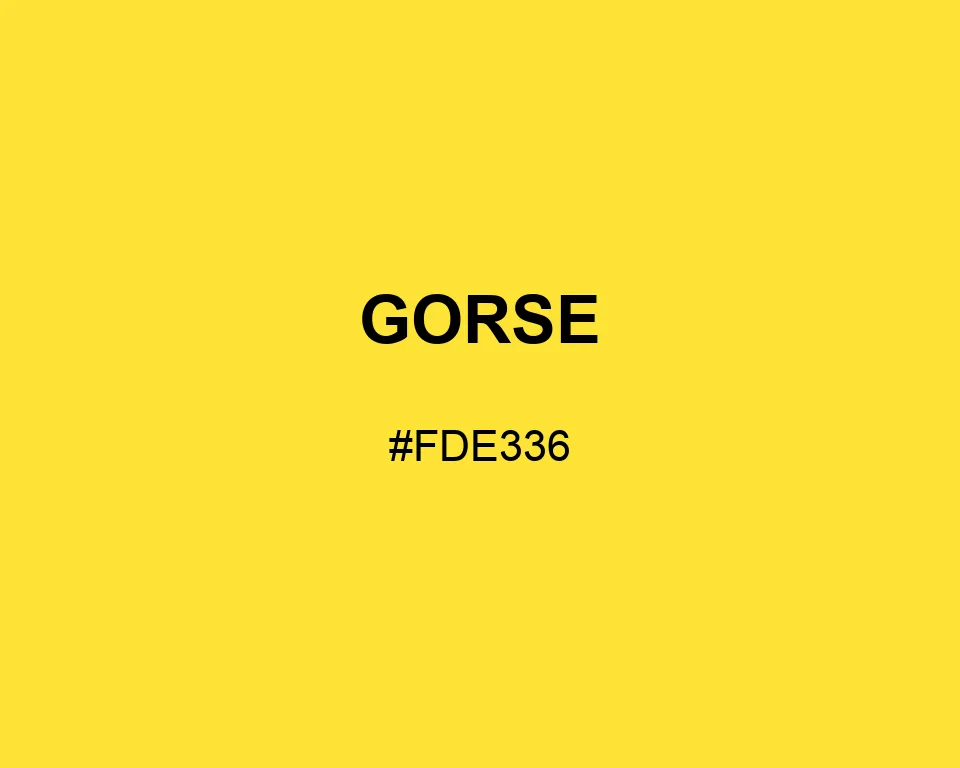 Gorse color #FDE336