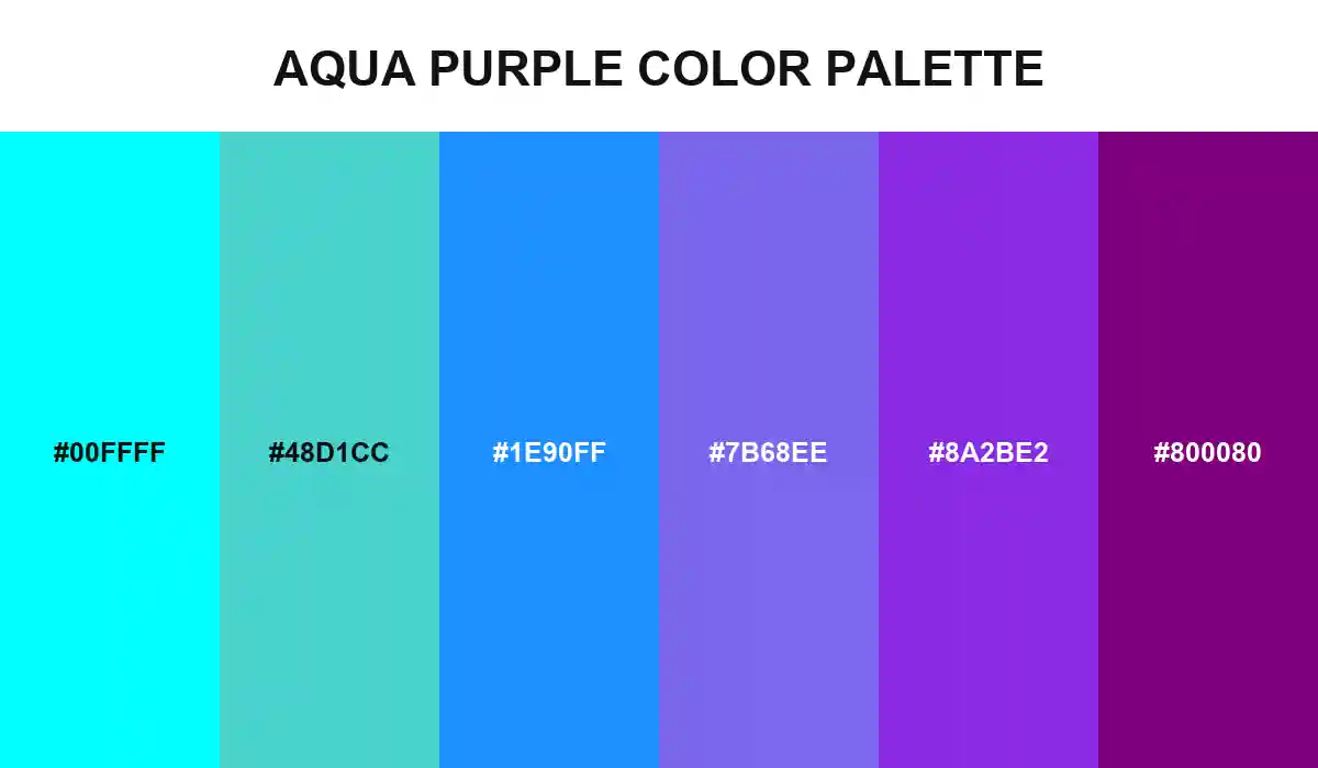 Aqua Purple Color Palette with Aqua, Medium Turquoise, Dodger Blue, Medium Slate Blue, Blue Violet, and Purple HEX values