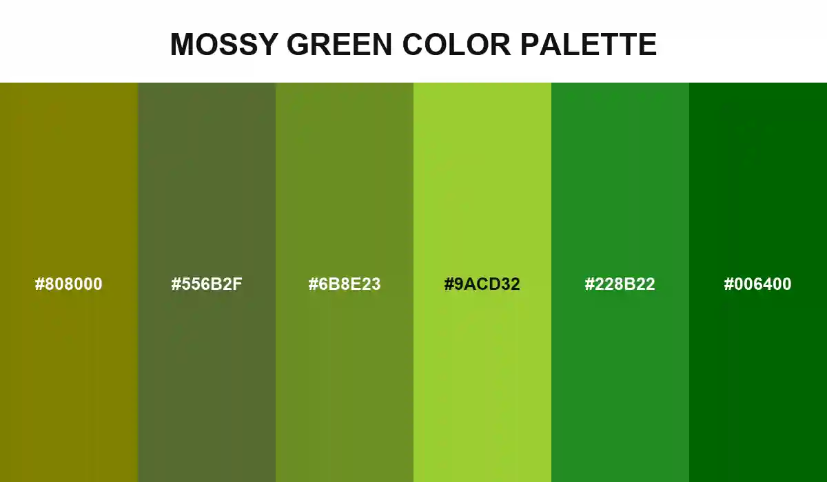 Mossy Green Color Palette with Olive, Dark Olive Green, Olive Drab, Yellow Green, Forest Green, and Dark Green HEX values