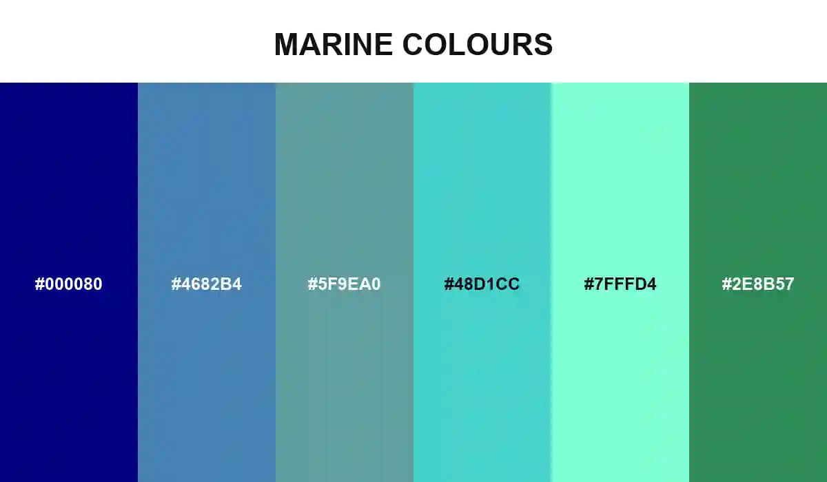 Marine Colours with Navy, Steel Blue, Cadet Blue, Medium Turquoise, Aquamarine, and Sea Green HEX values