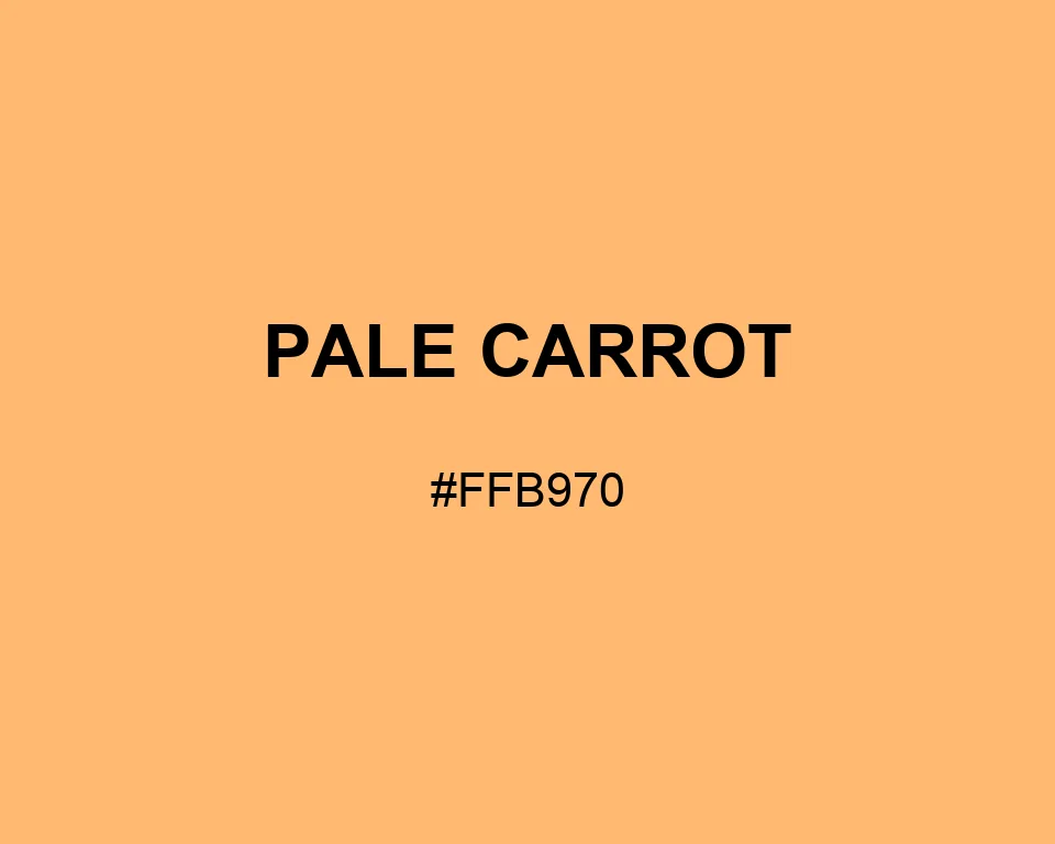Pale Carrot color #FFB970