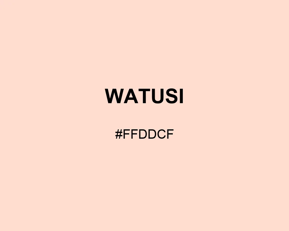 Watusi color #FFDDCF