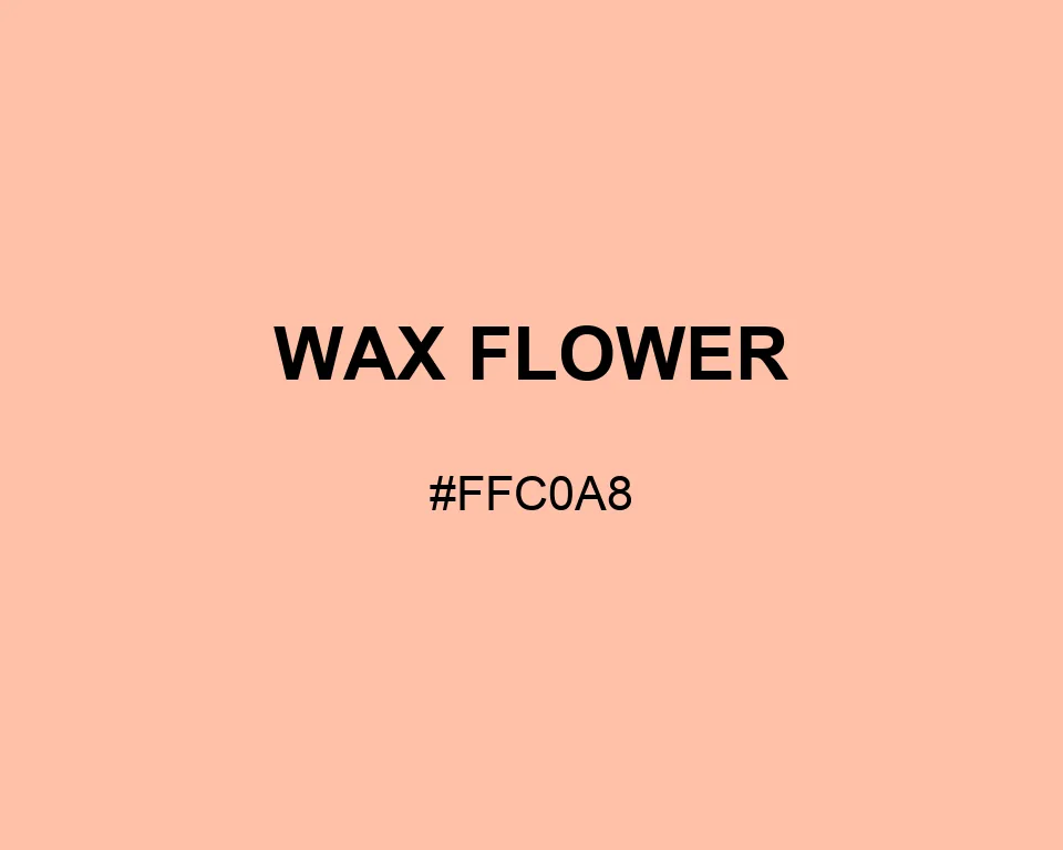 Wax Flower color #FFC0A8