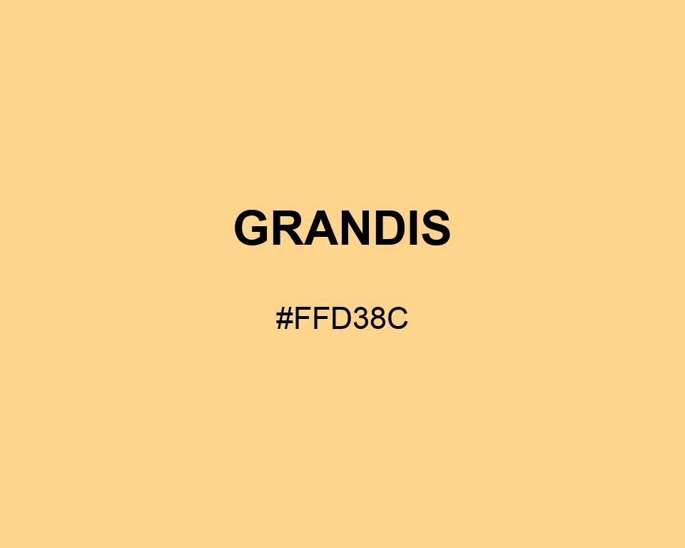 Grandis color #FFD38C