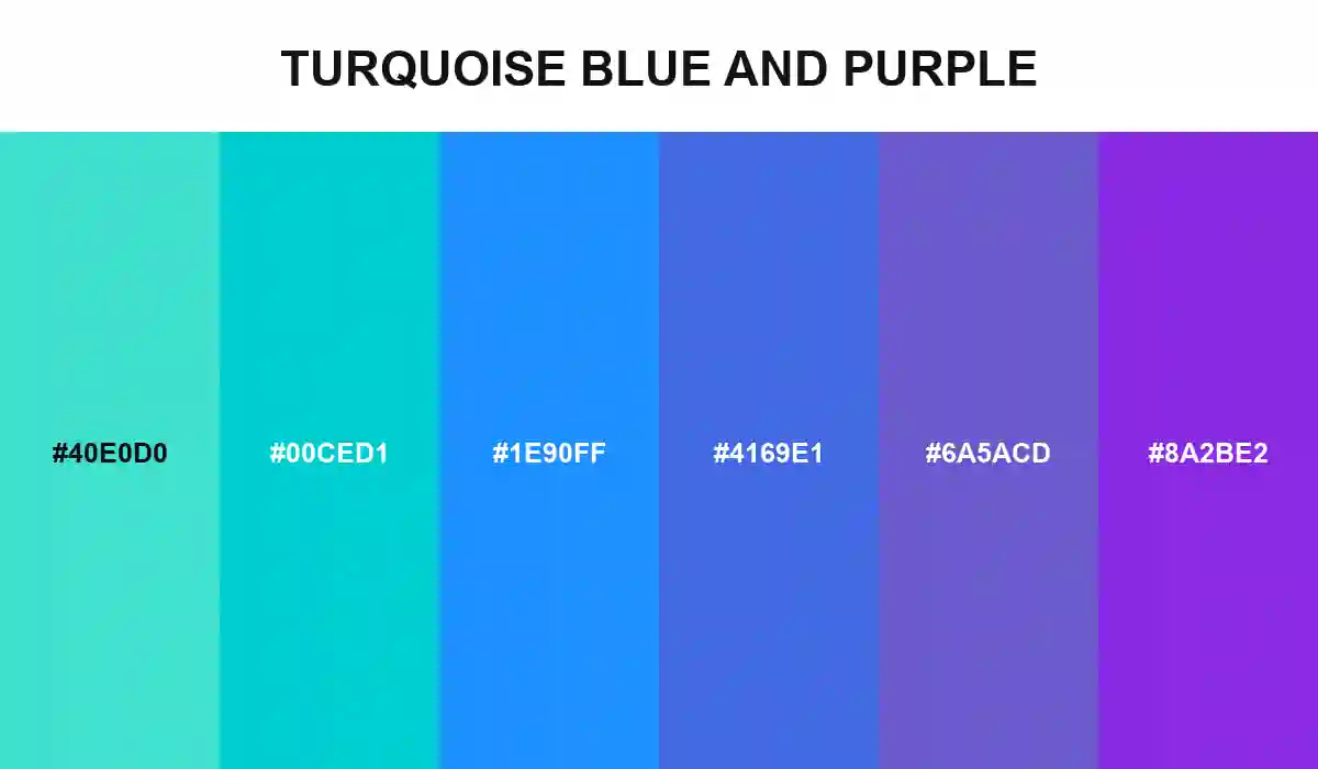 Turquoise Blue and Purple Color Palette with Turquoise, Dark Turquoise, Dodger Blue, Royal Blue, Slate Blue, and Blue Violet HEX values