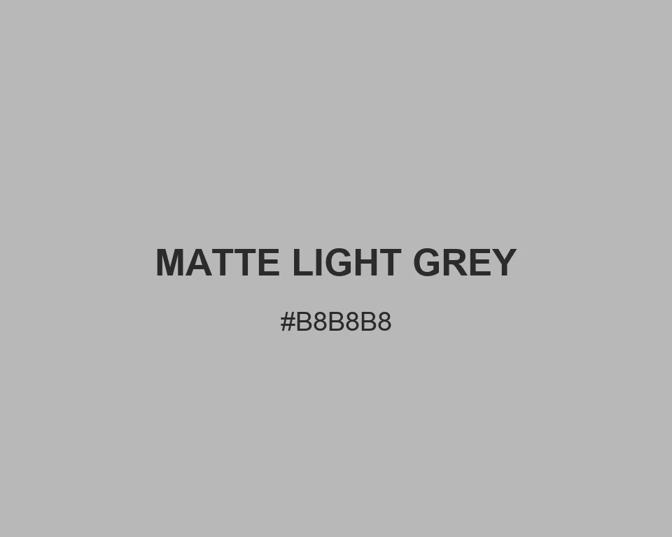 Matte Light Grey #B8B8B8 color swatch