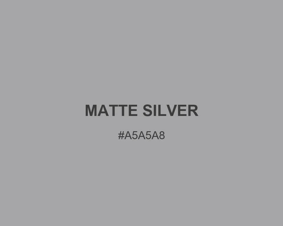 Matte Silver #A5A5A8 color swatch