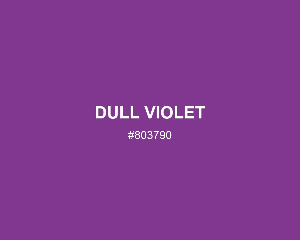 Dull Violet color #803790