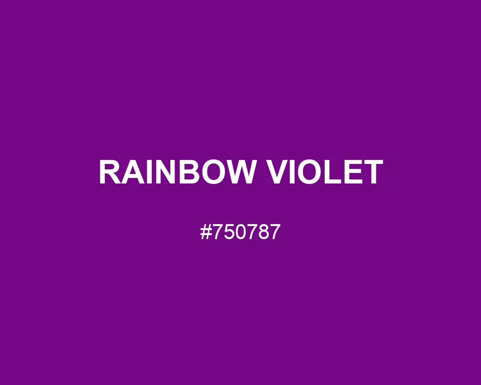 Rainbow Violet color #750787