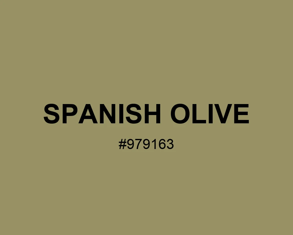 Spanish Olive color #979163