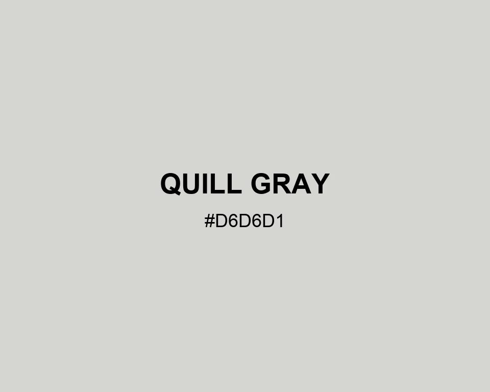 Quill Gray color #D6D6D1