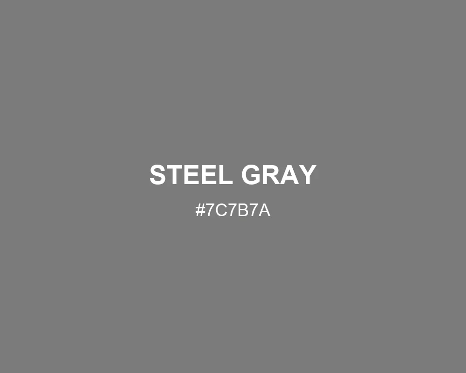 Steel Gray color #7C7B7A