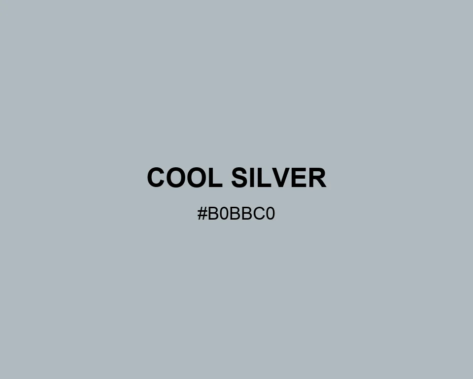 Cool Silver color #B0BBC0