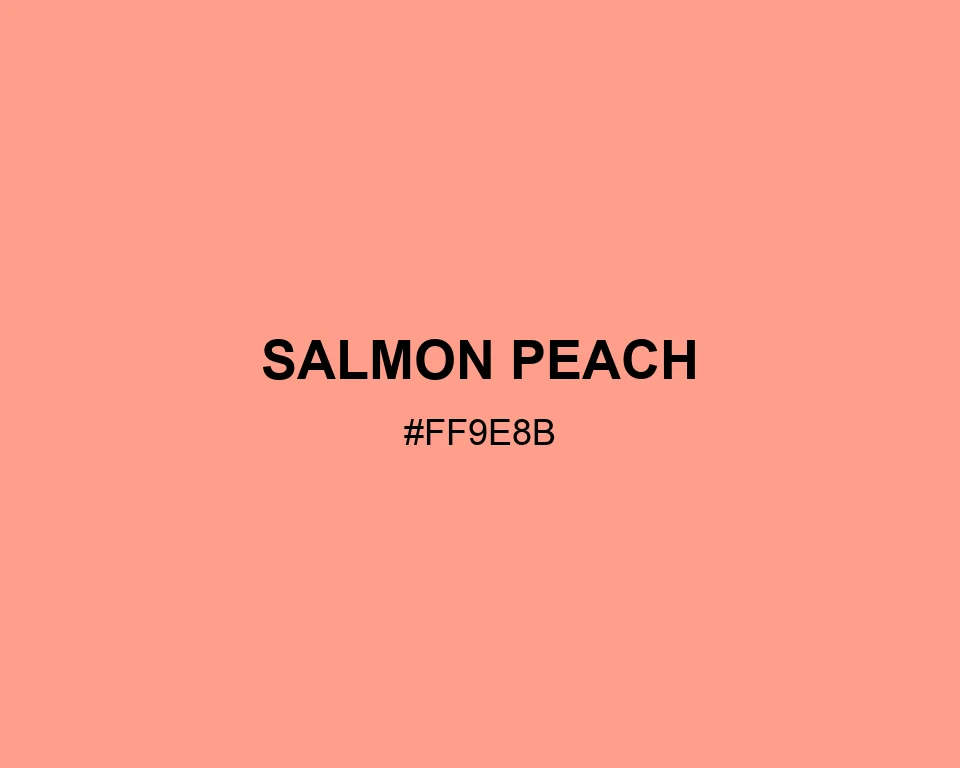 Salmon Peach color #FF9E8B
