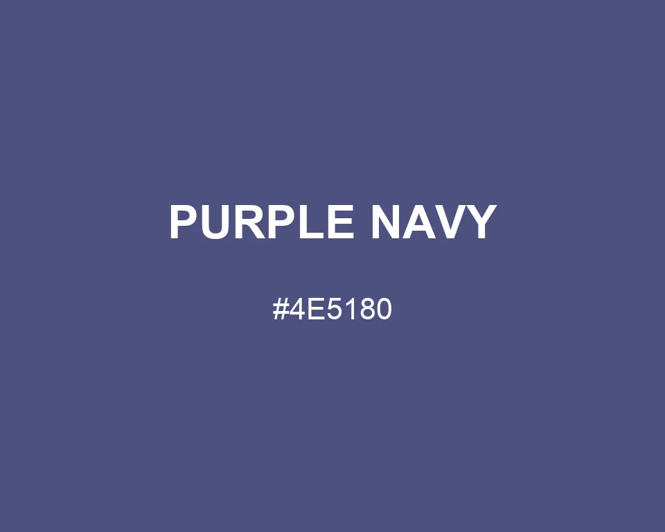 Purple Navy color #4E5180